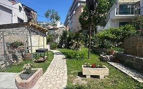 Dalmata Garden Split